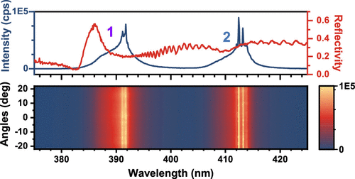 Image from the published article